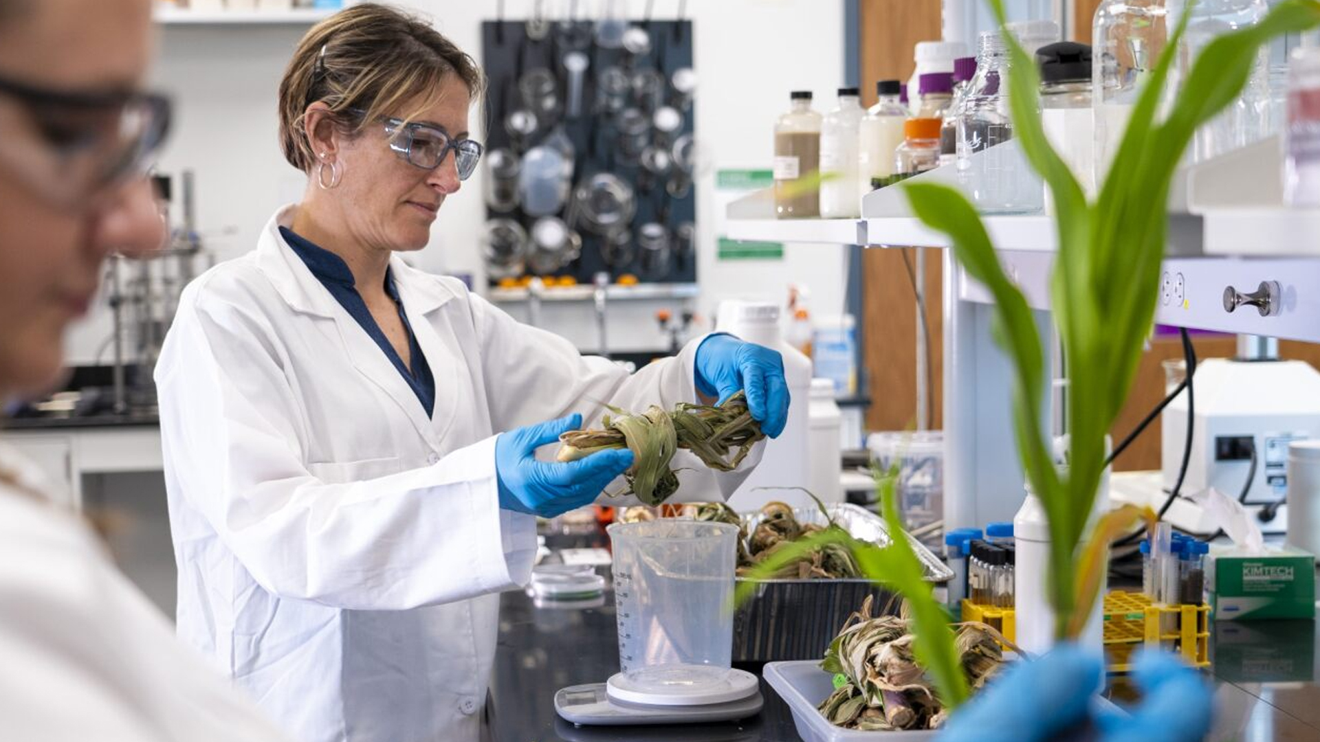 Women working in the bioscience field. Mosaic launches Mosaic Biosciences